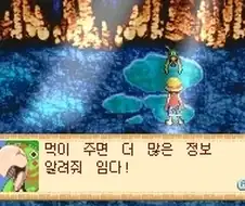 사실 원피스에 앵무새 나온적 있음