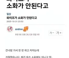 천연소화제