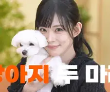 나 솔직히 이쁜 누나 짤에 댓글로