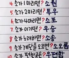 소가..jpg