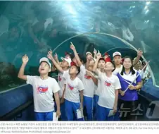 아쿠아리움 구경하는 북한 학생들