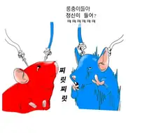 주식) 현 상황