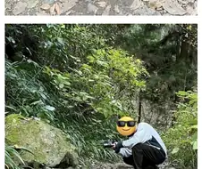 봇치) 봇치갤 념글 레전드