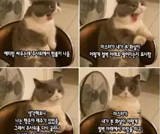 D&D하다가 가끔 발생하는 찐빠