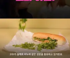 고수를 싫어하는건 반찬투정같은게 아니다.jpg