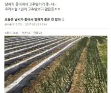 전설의 딸기밭 공익.jpg