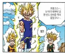 사실 억까였던 불량가장 오공 vs 가정적인 베지터 구도