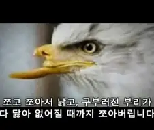 초청 강사들한테 한번쯤 들어봤을 개소리들