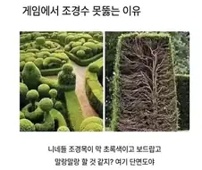 게임에서 조경수 못 뚫는 이유.jpg