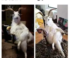 엣지러너2 새로 나온 티저 본 소감.jpg
