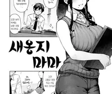 이 망가 어떤 놈이 번역했냐