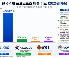 야구가 세금으로 운영되지 않는 이유