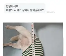 당근의 강아지집 사이즈 문의.jpg