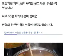 포스코의 옛날옛적 철분 부족 보충