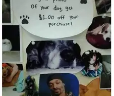 개 사진을 가져오면 할인해 드립니다.png