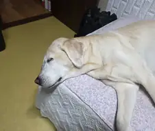 자, 너희가 원하던 사진이다.