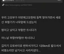 니들은 부항 함부로 뜨지마라