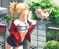 고양이 성추행하기