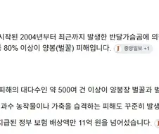반달가슴곰이 그래도 가벼운 재산피해만 일으키니 괜찮다고?