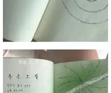 짐 정리하다 19살 엄마의 다이어리를 발견한 딸