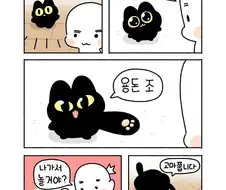 강아지랑 아깽이가 같이 노는 만화.manga