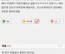 원피스) 원피스 세계관 일주일만 체험 하고싶다