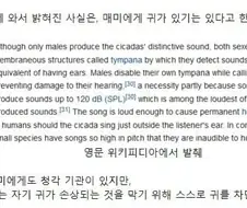 개 미친 이기적인 색기