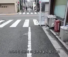 거세 야–호☆