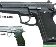 K5 권총 대체 사업의 대안.png