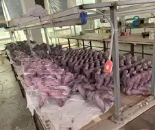 다들 타노스 엄청 좋아하는구나!