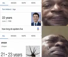 MCU) 성년식 축하해 스파이더맨
