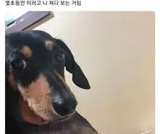 "와 되게 섭섭하다 주인아"