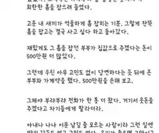 집보러온 신혼부부