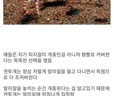 아이템에 의지해서 사는 생물.jpg