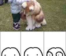 저건 개가 아니야