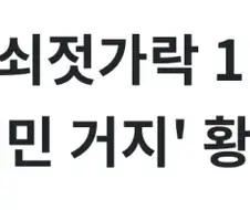 배달요청에 쇠젖가락 보내주세요 배민거지 황당요청