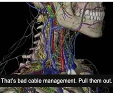 속이 편해지는 선정리