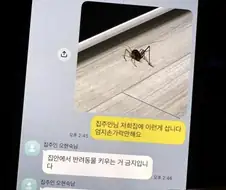 집에서 반려동물 키우다 걸린 세입자 ㄷㄷ