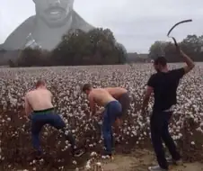 흑인 인종차별이 사라진 세계