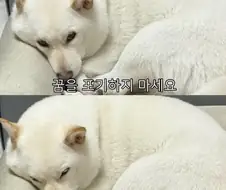 꿈을 포기하지 마세요.jpg