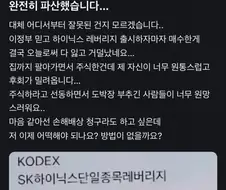 하이닉스 레버리지로 -22억된 사람