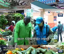 한국 오이 재배기술로 살아난 케냐의 오이마을...