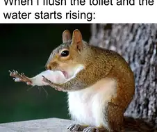 변기 물을 내렸는데 변기 물이 올라올 때