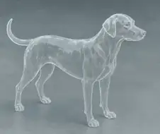 이 개새낀 아까부터 투명하네 시발 ㅋㅋ