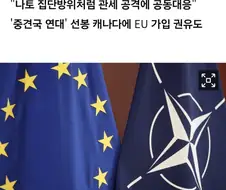 유럽, 한국과 일본에게 미국뺀 나토결성 제안.jpg