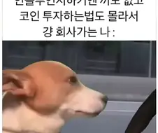주식으로 소란스러운 와중 몇몇 사람들 특징
