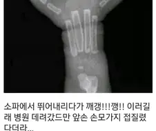 개팔자 레전드.jpg