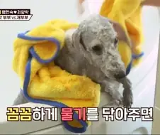 각본으로 절대 못나오는 장면