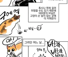 고양이가 선명하게 비닐을 핥았다.manhwa