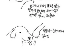처음본 강아지 머리 쓰다듬는 방법.manwha